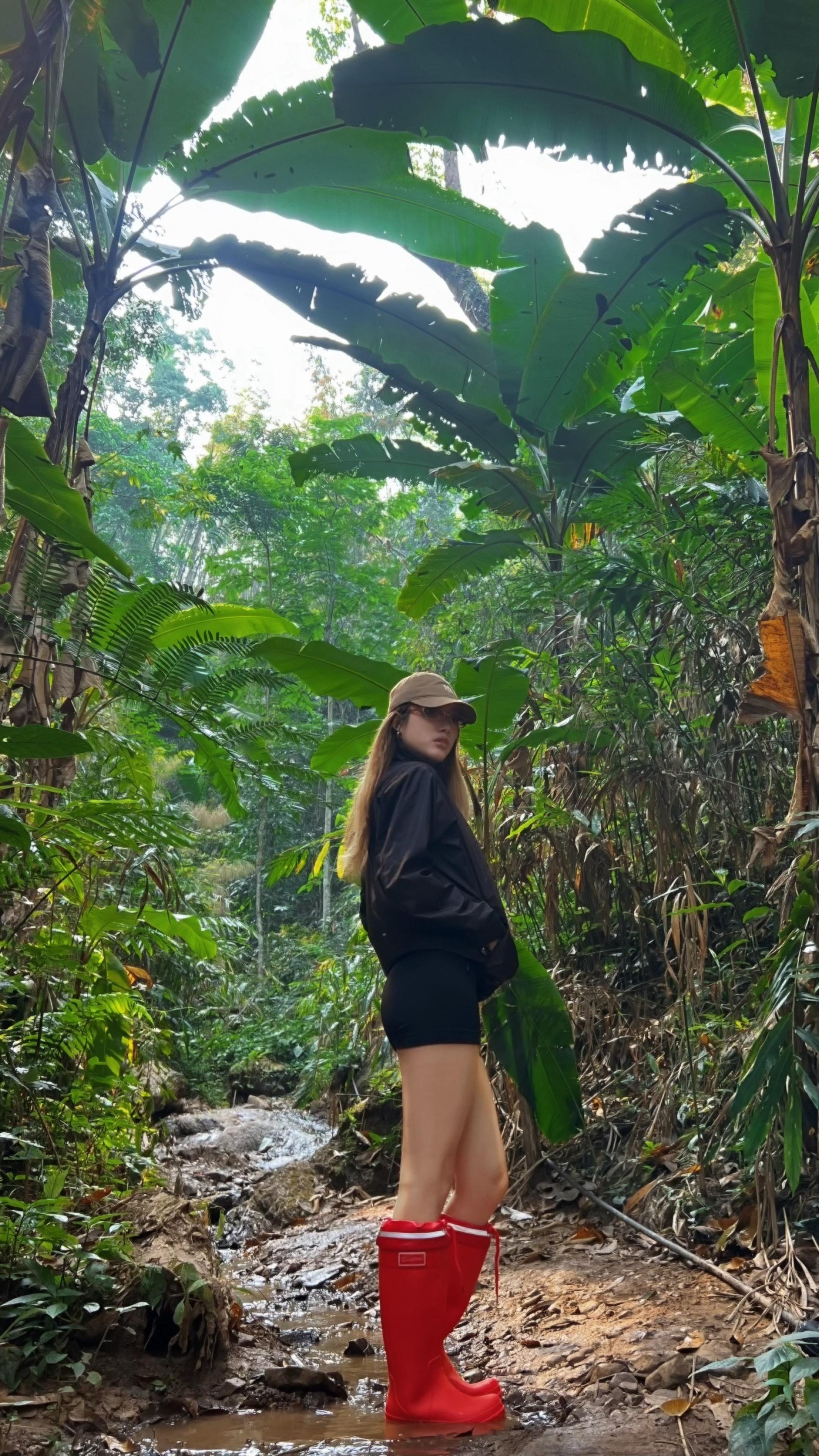 雨林徒步。人生不过三万天 能玩一天是一天！