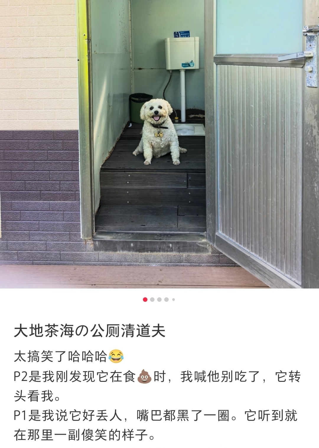 啊啊啊我不行了   公厕清道夫 ​​​