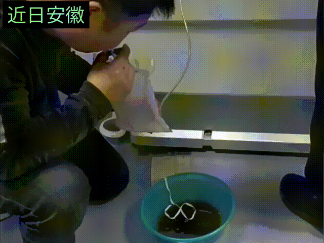 老人生病住院，插导尿管也排不出尿疼得直叫唤，儿子急的用嘴吹导尿管，想给父亲排尿，