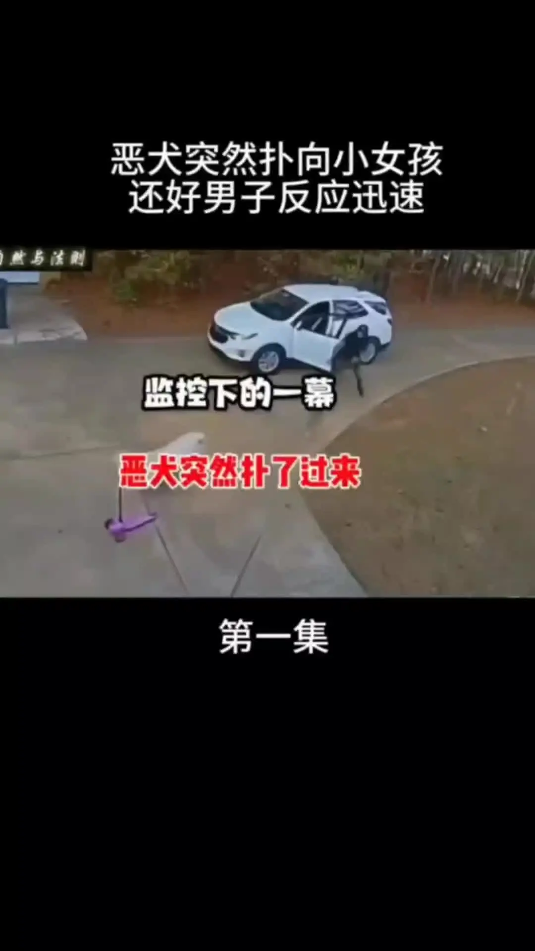 动物的迷惑行为 动物世界 万物皆有灵性 内容启发搜索 我的观影报告