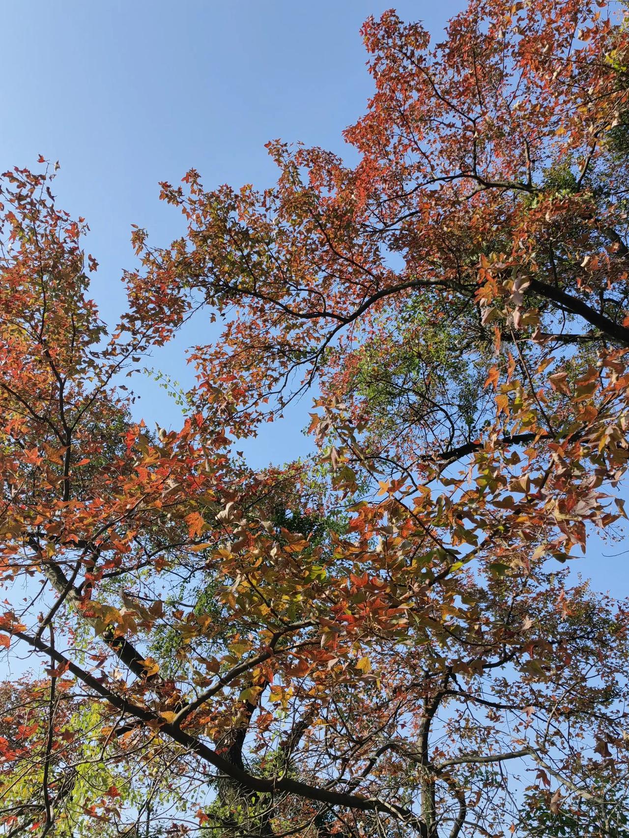 晓得我今日去了何处吗？这地方的空气与环境都很不错，只是距离有些远，真的很远呢。那