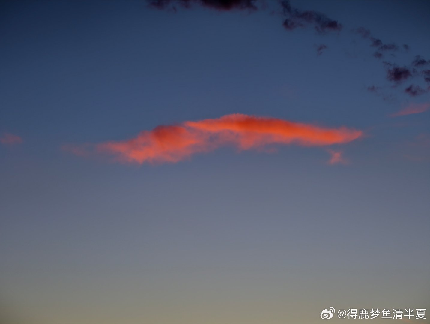 高考数学水里的天上的锦鲤都拍到啦，祝福考生顺心如意 高考