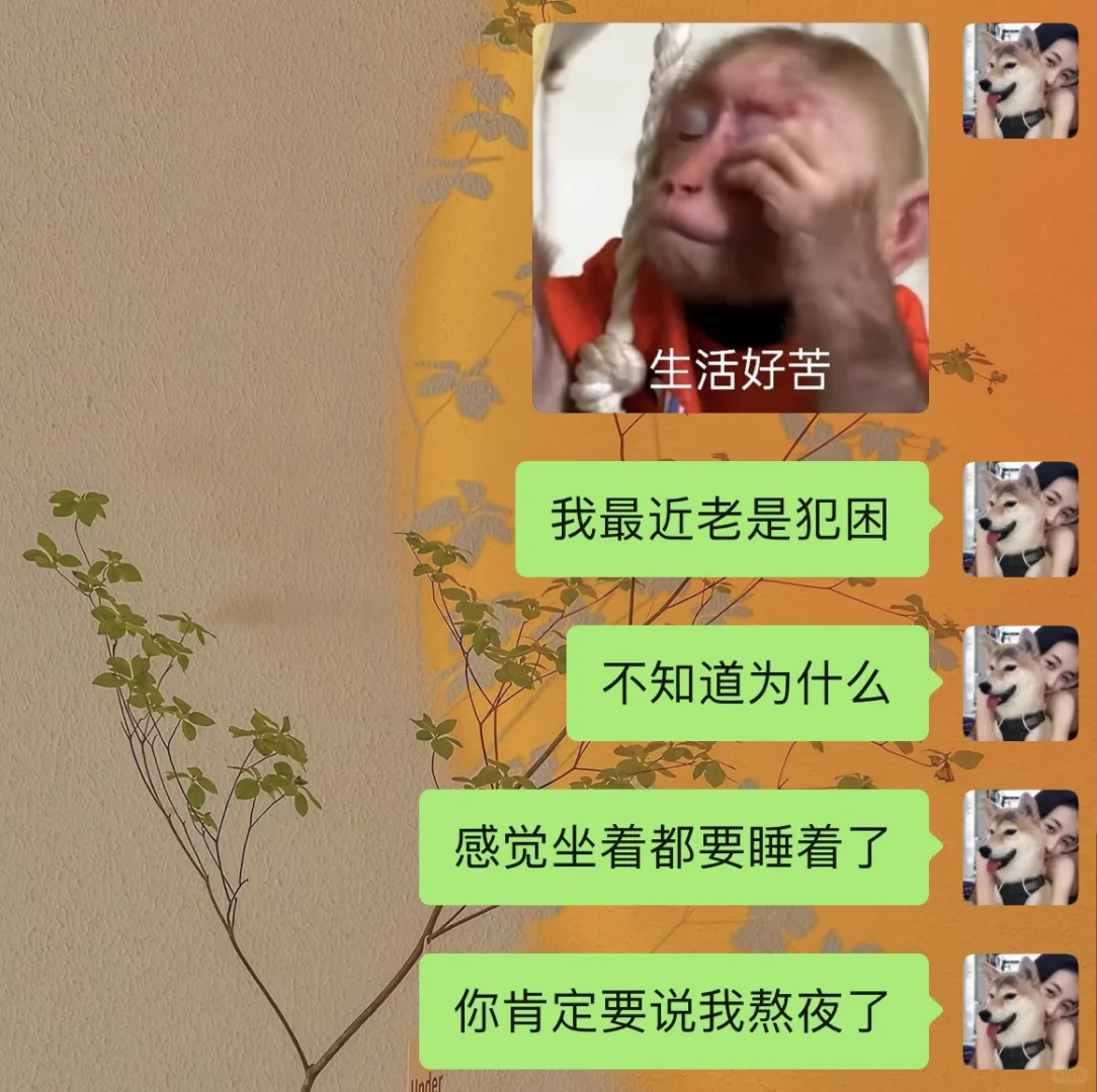 这个贱我必须犯