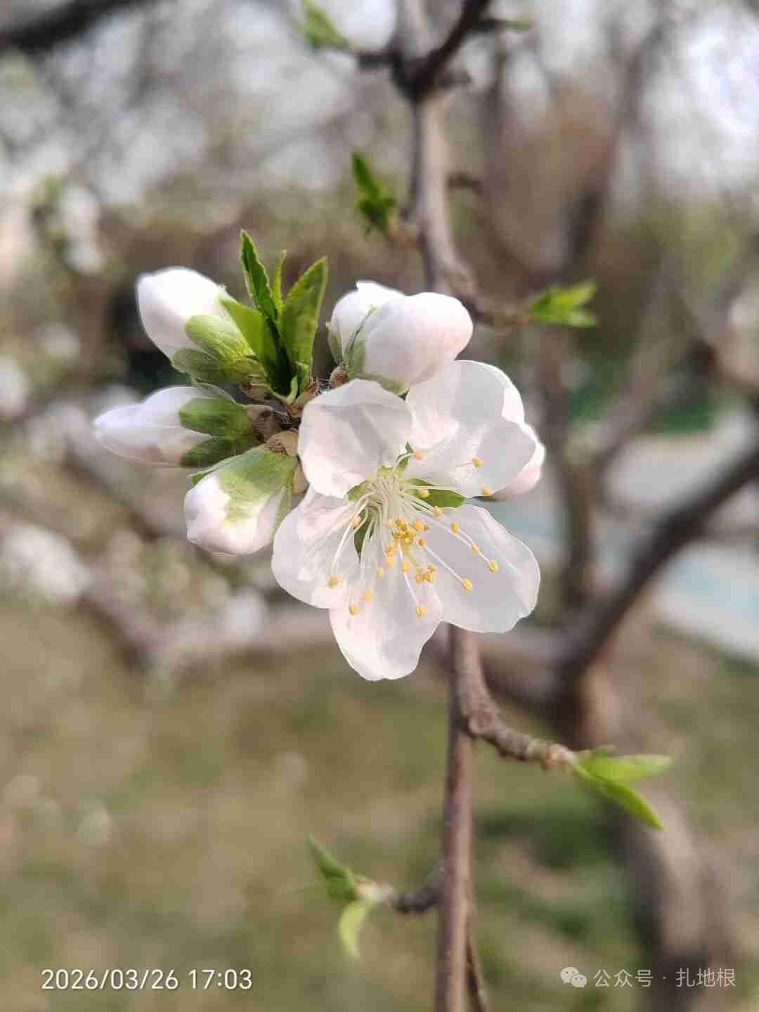 我的今日状态：😁轻松愉快
我这里的天气：☀️晴天
