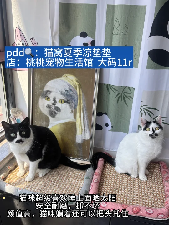 pdd支撑起了我破碎的家