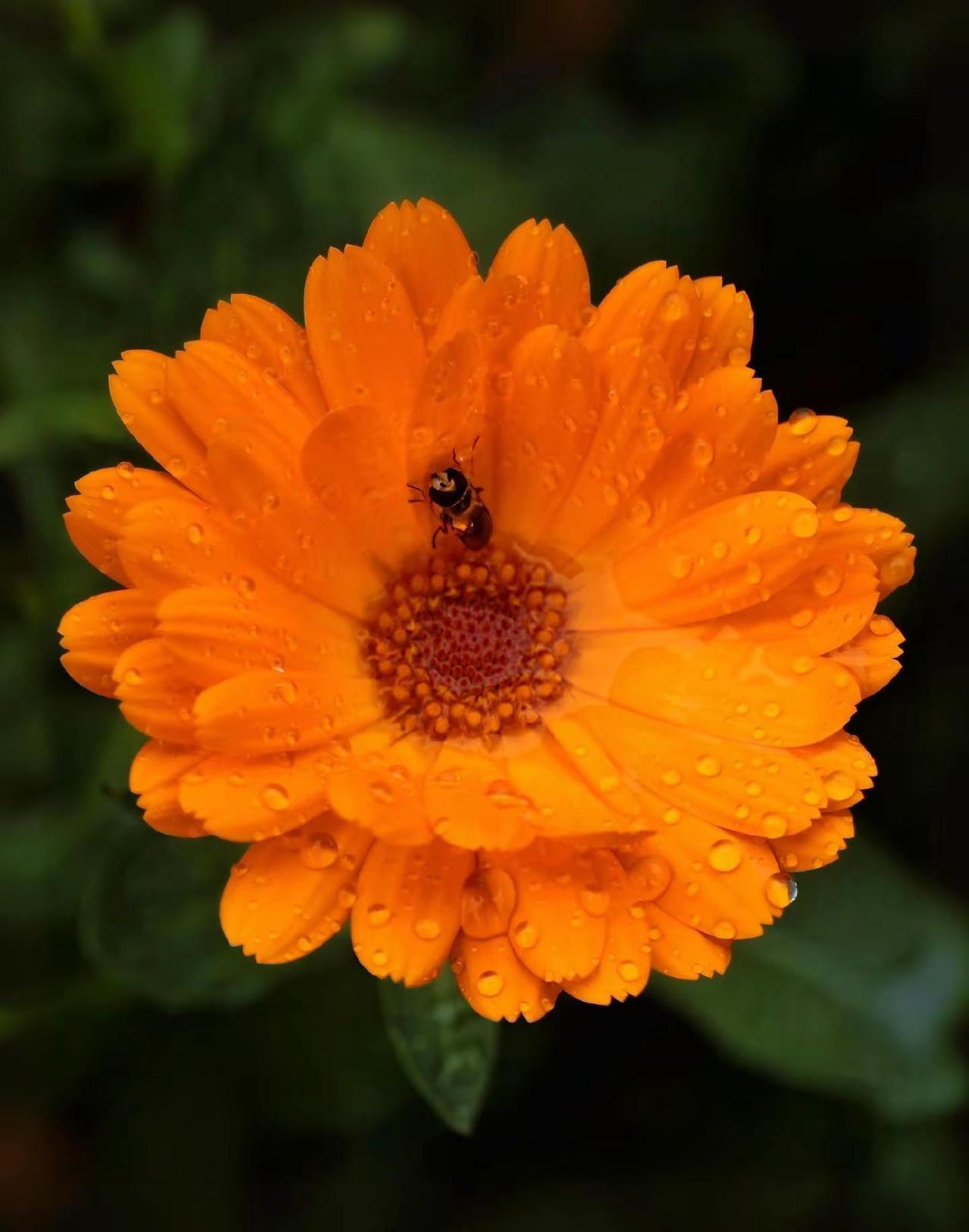 雨中。火山拍作品分10万