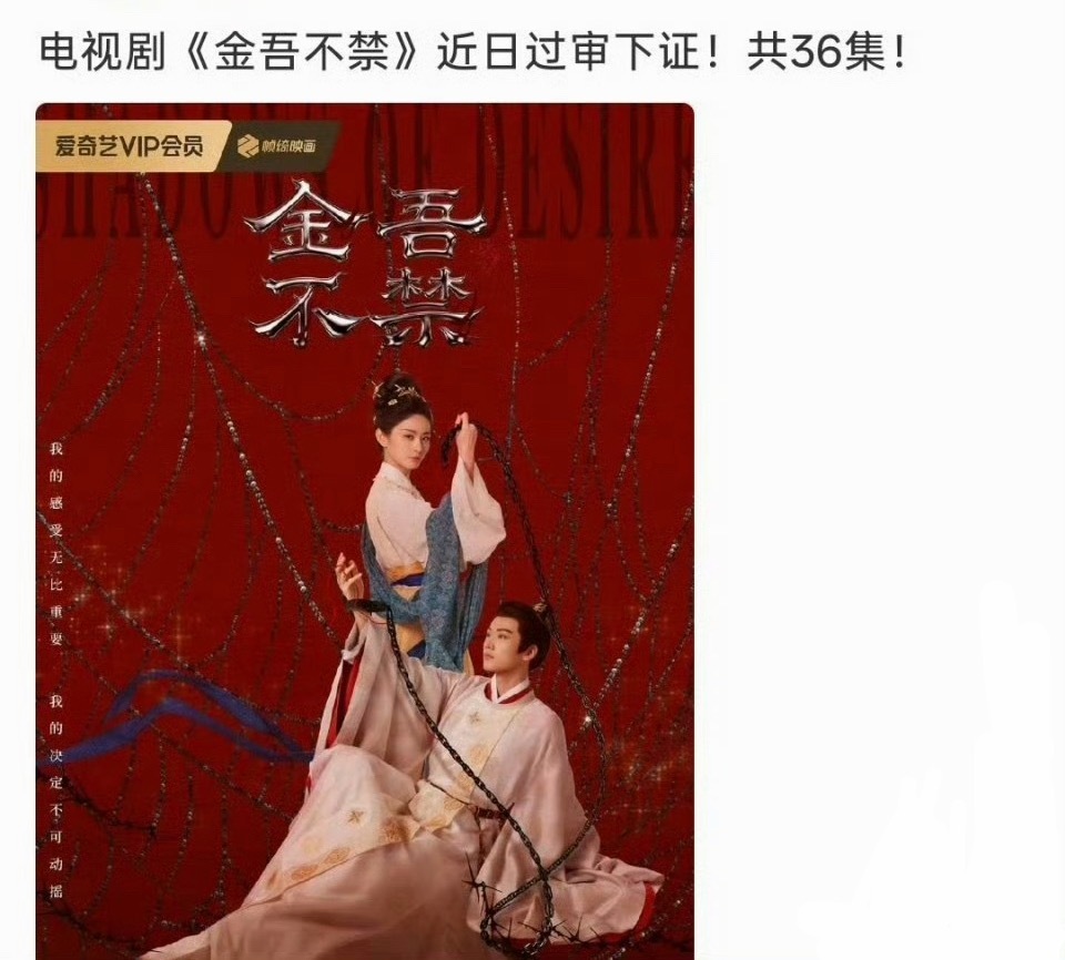 周柯宇、赵晴《金吾不禁》近日过审下证，共36集 