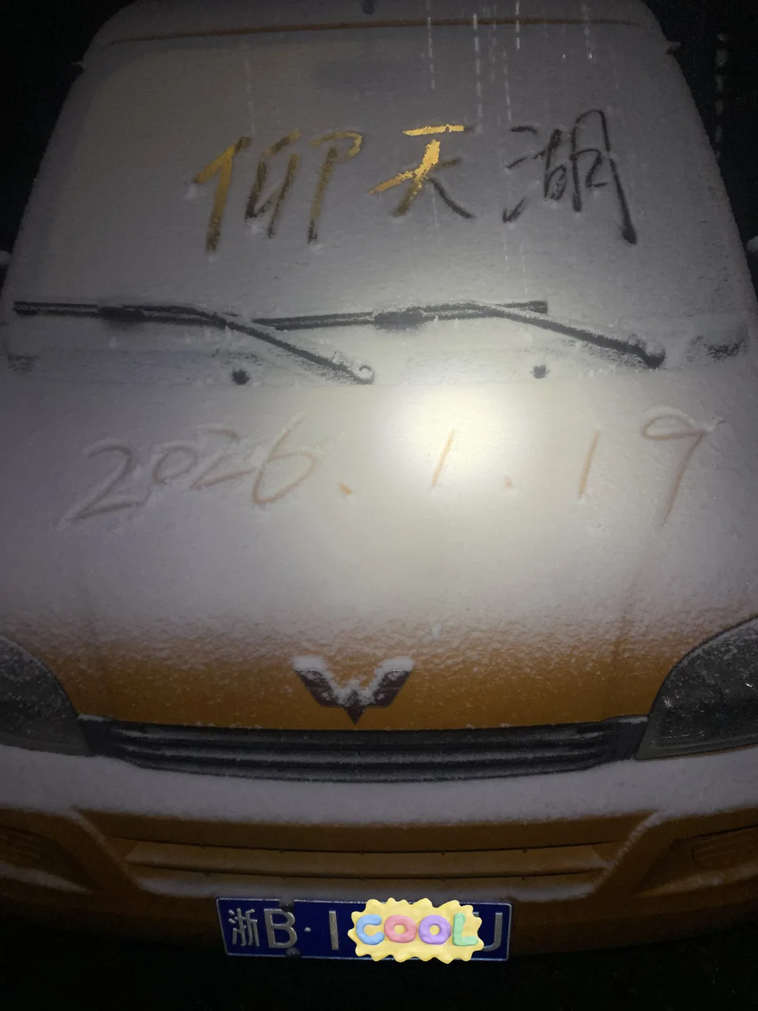 宁波下雪了！看雪福利又来了20260119实拍