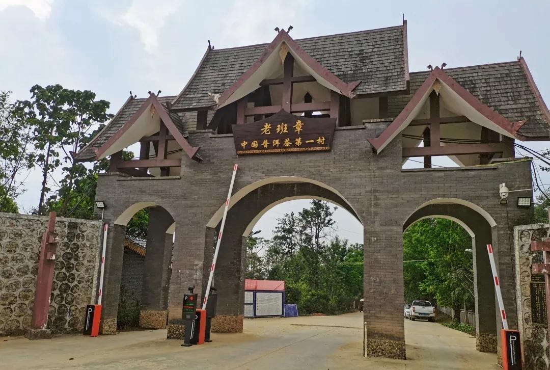 老班章2026年春
被诗人誉为“一叶天香”、“清韵一壶胜琼浆”，民间亦有“不识老