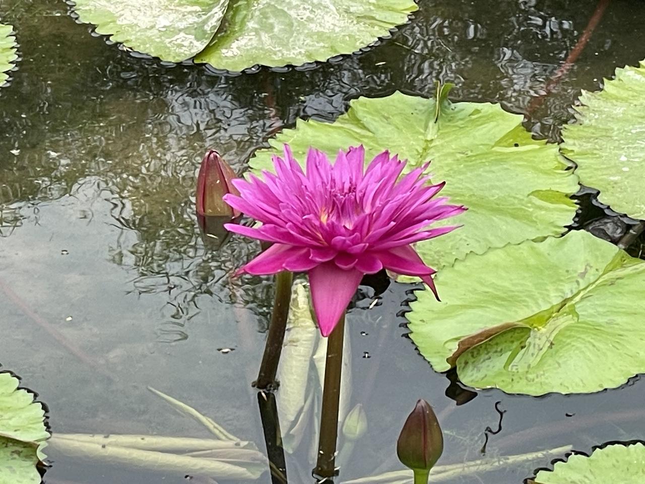 3月30日起禁止住宅专门用于安放骨灰能不能有这样一个选择，就是逝者亡故之前申请，