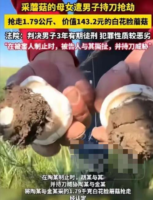“脸都不要了！”内蒙古一对母女在草场捡蘑菇，一男子骑摩托路过时，趁母女俩不注意，