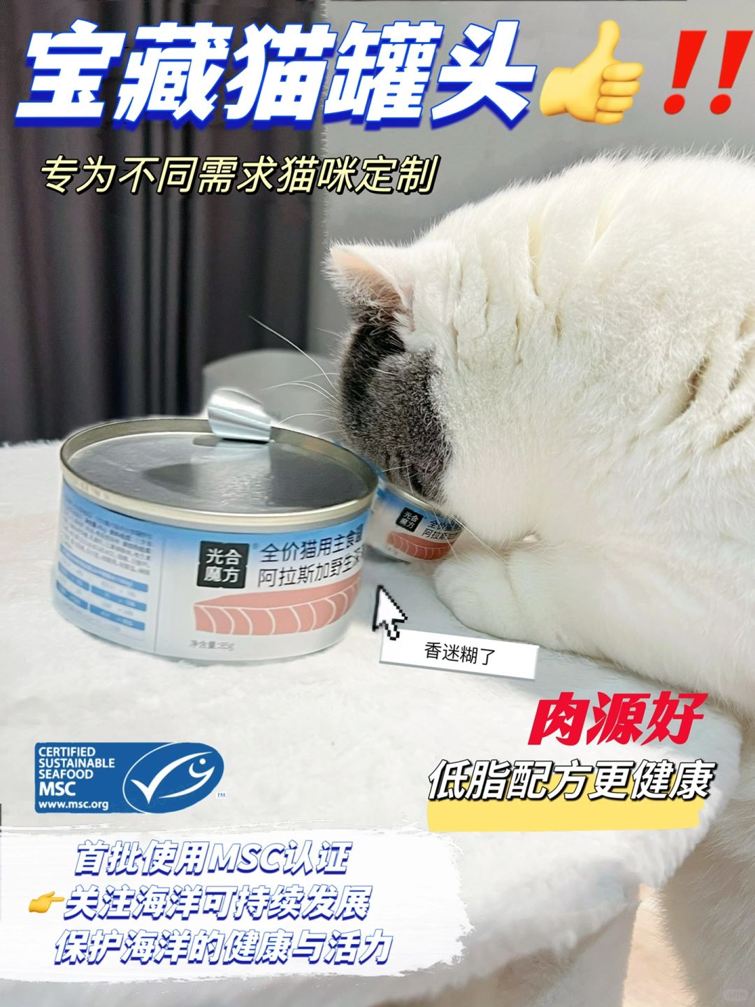 猫猫我今天一定要吃到罐罐