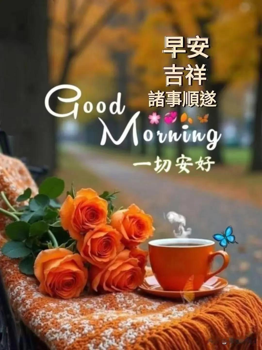 崭新清晨，整装前行，认真生活的人总会收获惊喜。