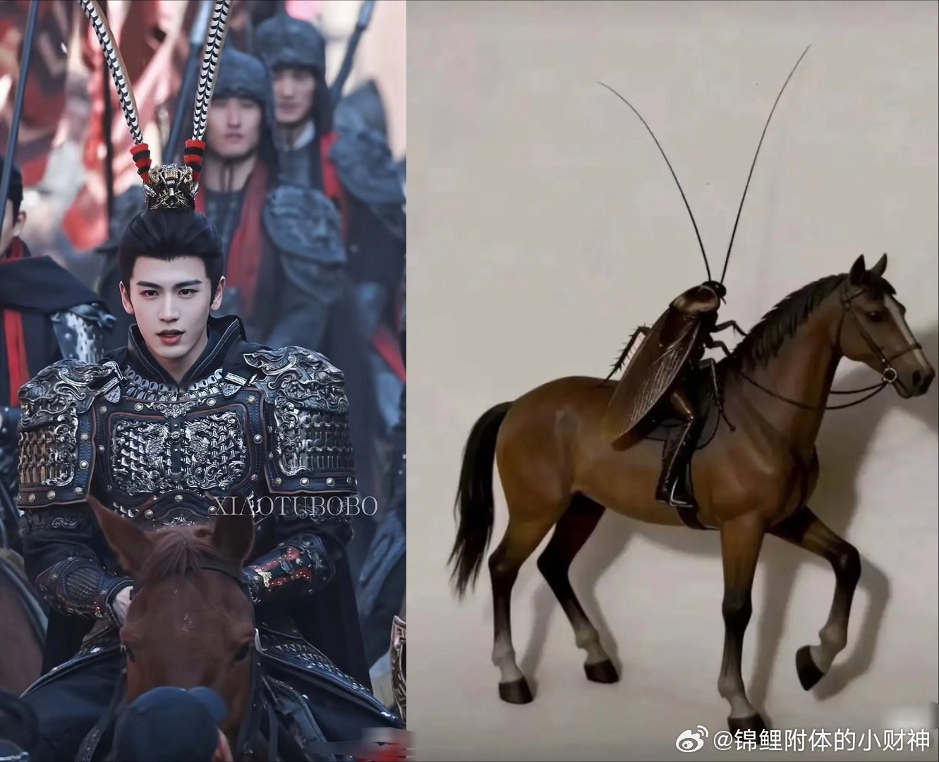 现在的网友真的有毒，给张凌赫做的嘲图 