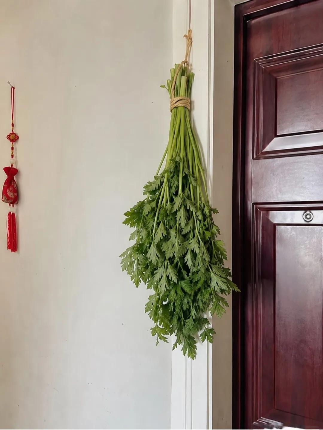 请问邻居家门上挂的是啥啊？怎么感觉和别人家的不一样？