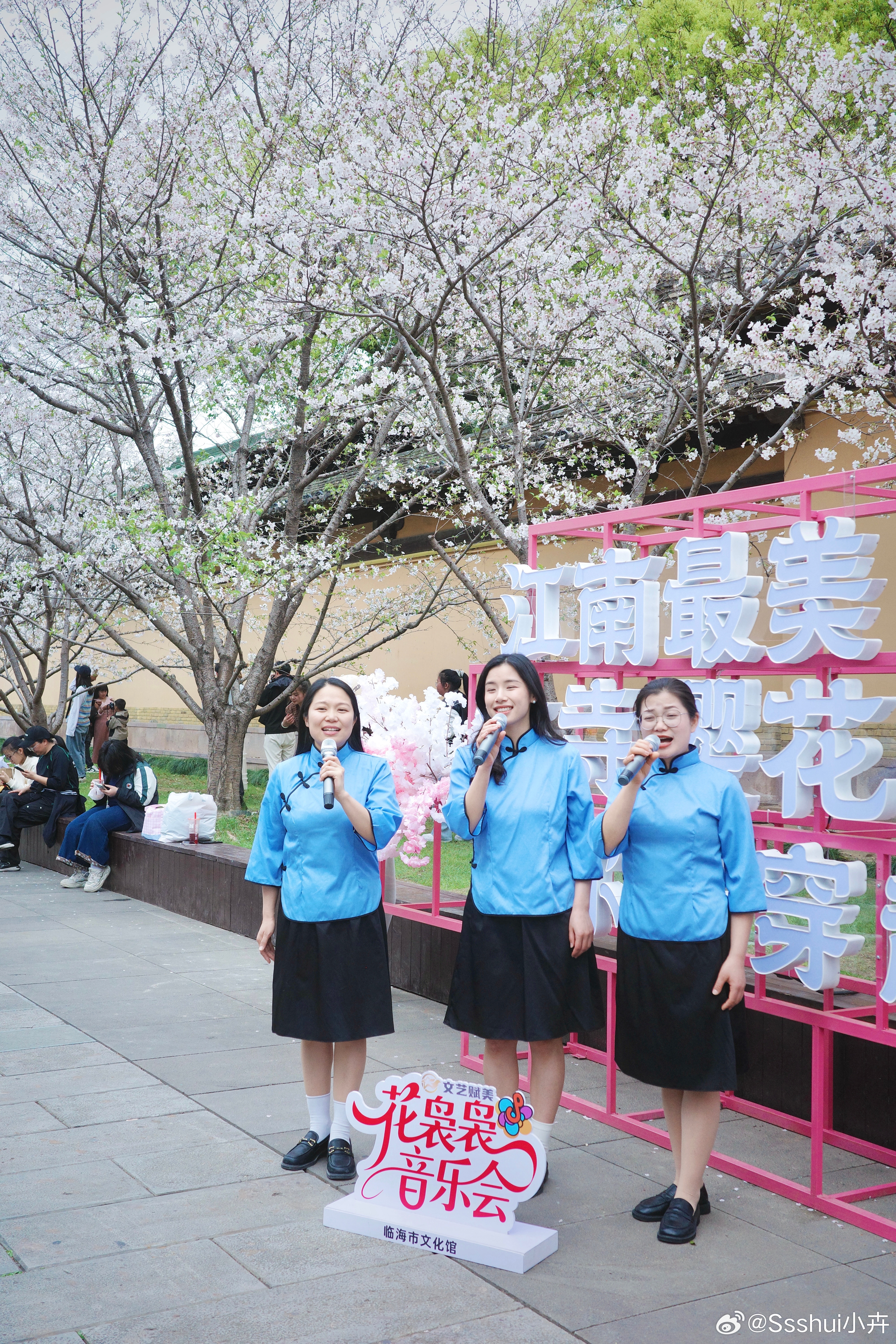 又到了古城下最美的季节🌸 