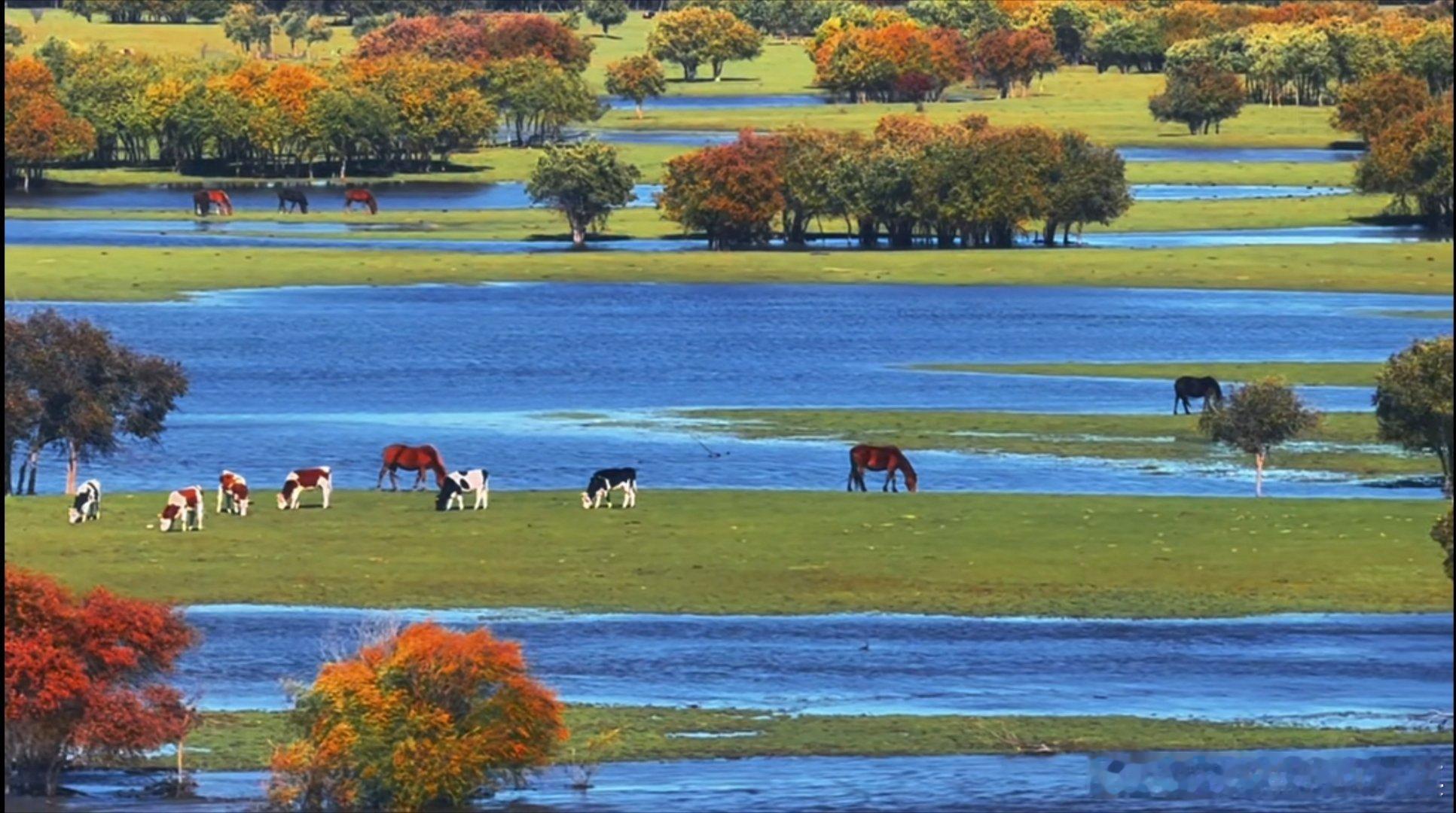 如图1 图2 图3 还有很多最近、大部分AI应用伴随指数休息期、大幅回撤几乎都撤