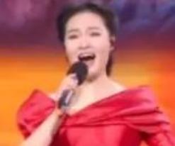 在2026年山东春晚上，雷佳的舞台表演意境感十足，备受赞誉。她倾情演绎了经典曲目