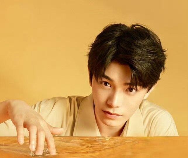 dyx丁禹兮 

风雪砺就锋芒，权谋鉴证初心！丁禹兮演绎的赵皑，于诡谲朝堂守正道