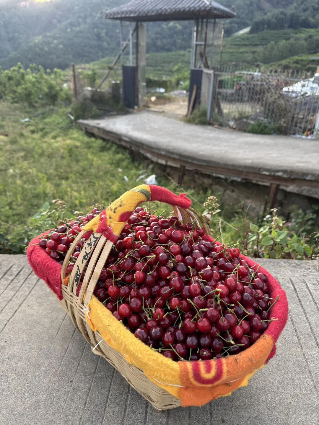只有农村长大的才会知道这一提兜的含金量吧
