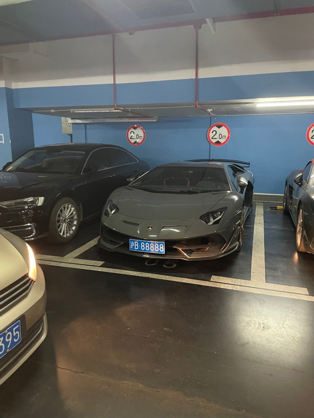 svj出来了[哆啦A梦害怕]  ​​​