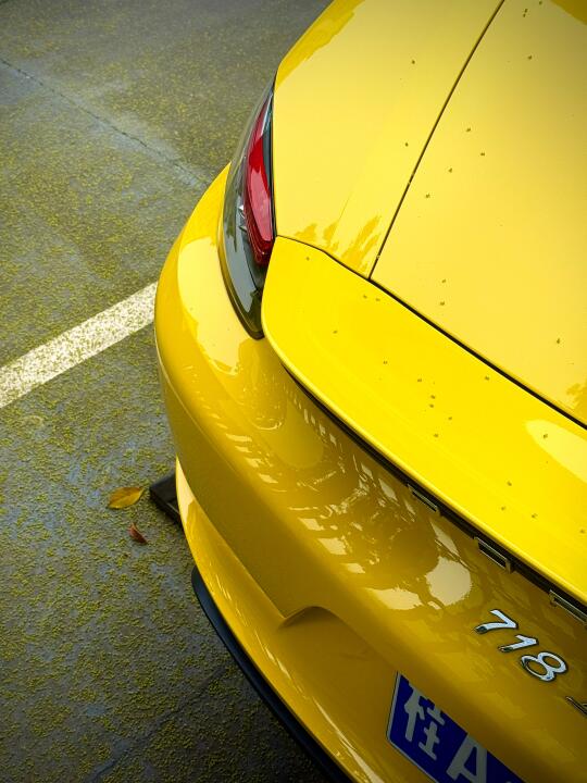 💛   /  落了一地的扁桃花和718竞速黄