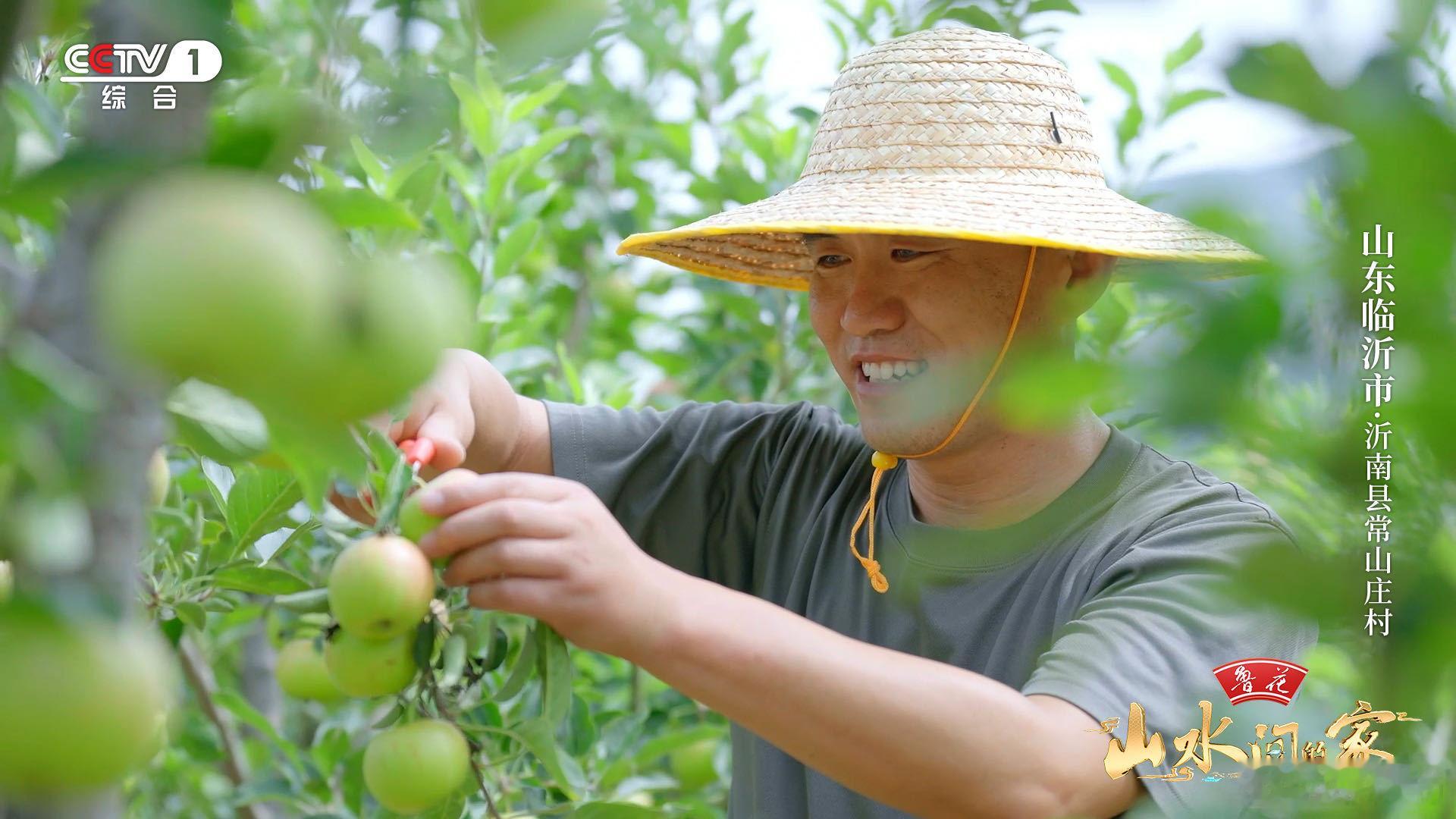 山水间的家走进临沂 千年琅琊，多彩沂南；沂蒙山区，丰收满枝。11月17日20:0