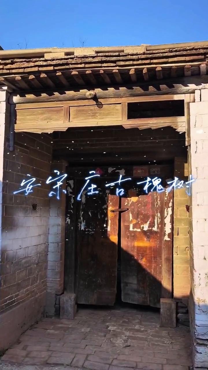 安宋庄古槐树。