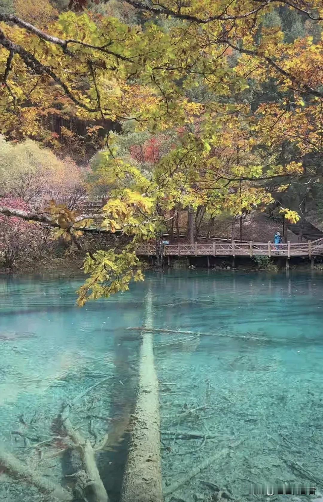 #上联：浅浅深深河中水，有请下联#
上联：浅浅深深河中水，
下联:   明明白白