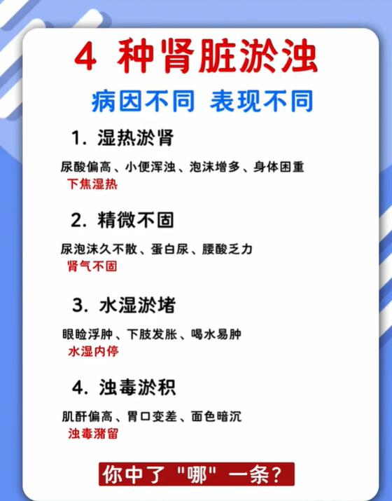 中医视角下，肾脏瘀浊可以分为 4 种类型，病机不同，对应的身体表现也不一样，可以
