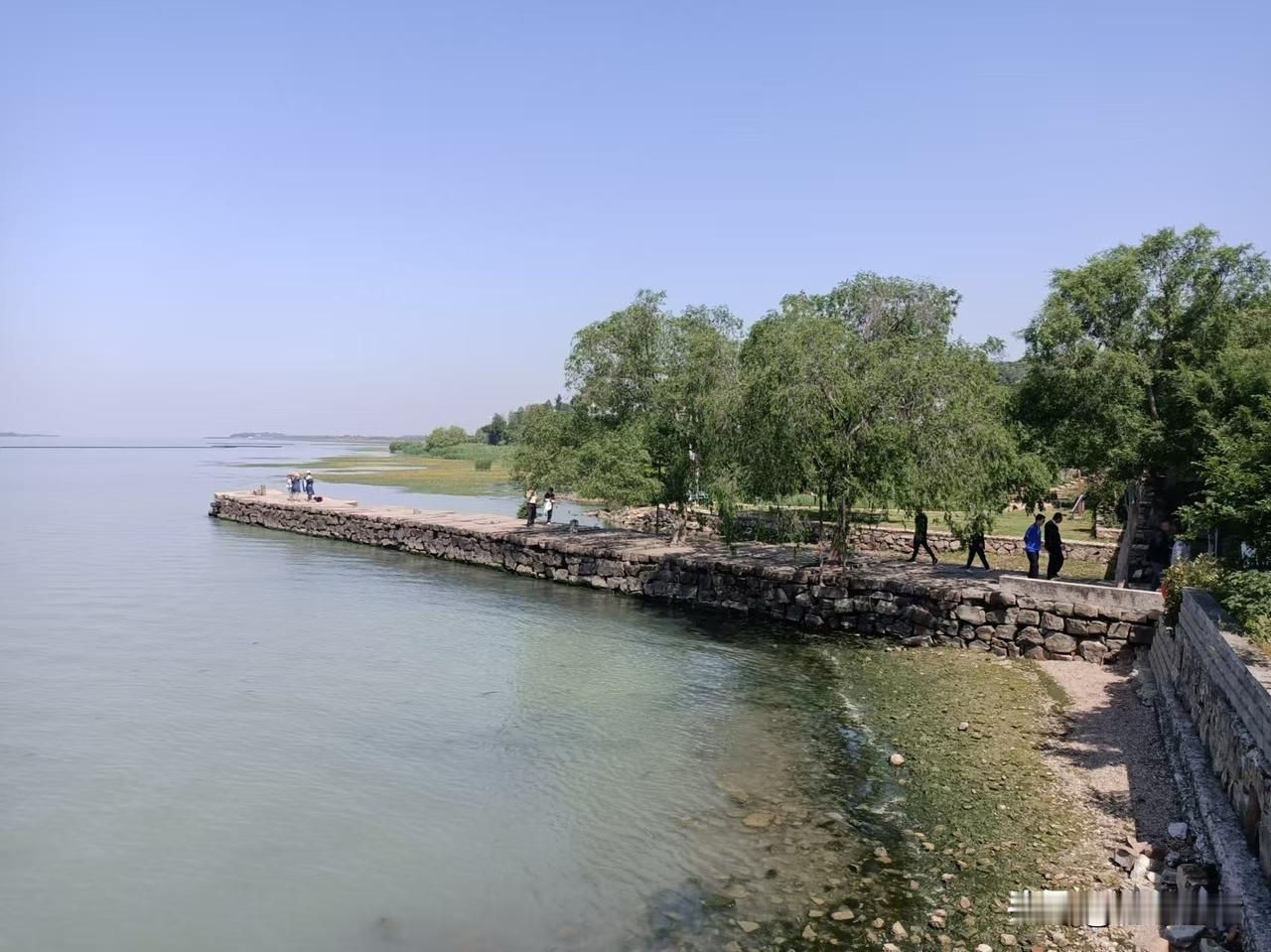 求助条友们一个问题:父母过世好多年后，他们的照片怎么处理？
明天是中元节，下午去