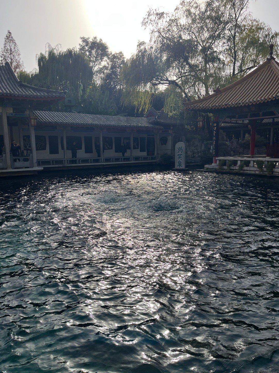 身边所有人都知道我超爱陈梦，我的姑姑姨姨舅舅舅妈知道我去济南后都在问我见到陈梦了