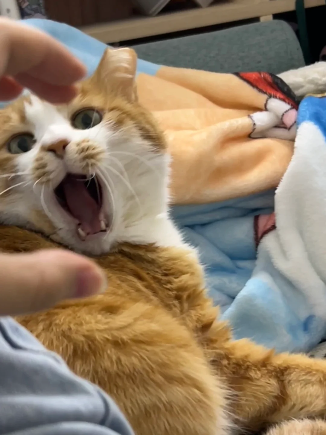 古希腊掌管哈欠的神