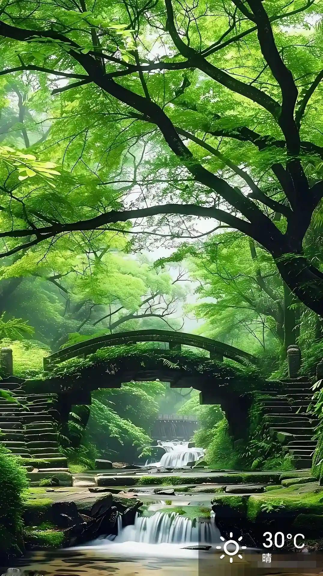 《虞美人·深林溪桥》
 
层林叠翠凝烟薄，溪上桥如昨。苔痕暗染石梯青，时有流泉飞