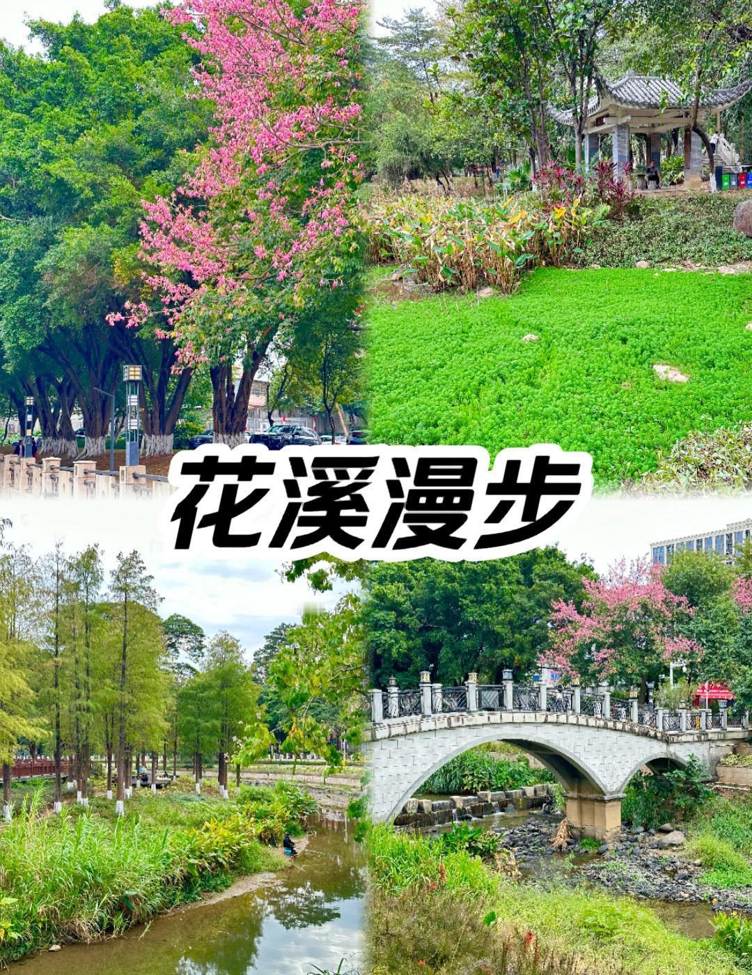 🌿东莞小都江堰❓❓
📍东莞 清溪公园
🌱公园沿溪而建，溪水潺潺，旁边就是大