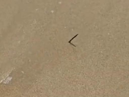 4 月 1 日，记者在海南三亚采访时了解到，崖州区镇海村一处海滩近日出现安全隐患