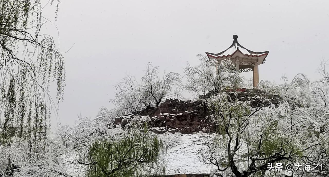 北国春雪图 （原创摄影）
谁说四月只能芳菲满径？大同公园这场雪，为春日添了别样韵