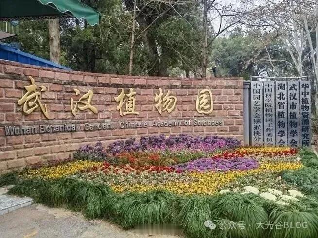 武汉冲刺“国字号”！全力创建武汉国家植物园获悉。8月9日，东湖风景区管委会与中国