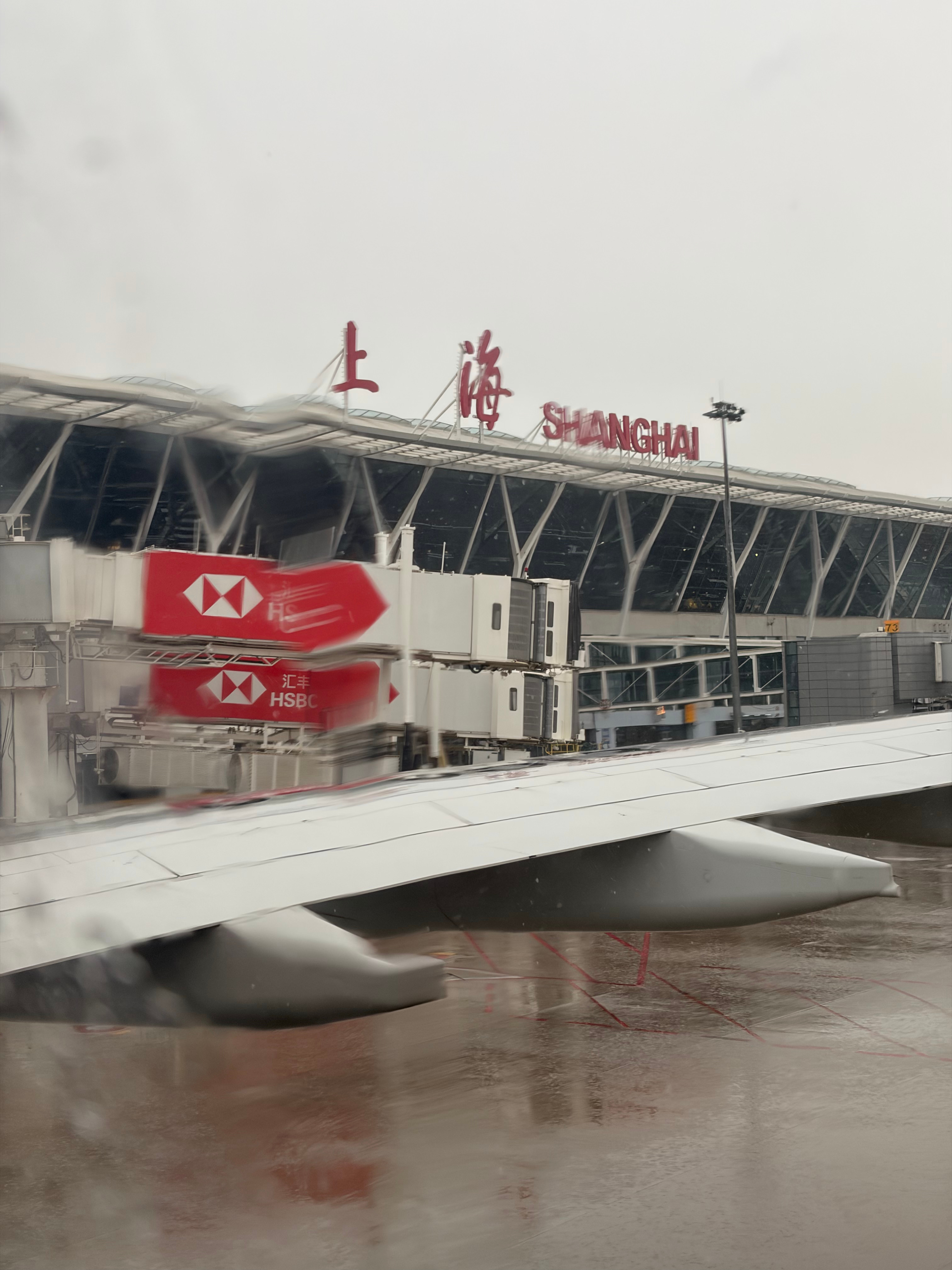 谁能想到上海今天雨还这么大 上海