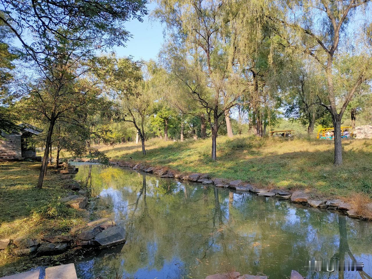 公园美丽景随拍