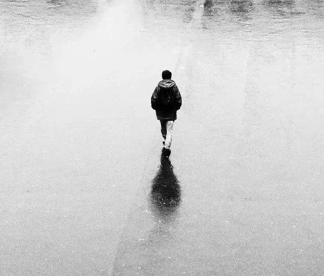 人有时候只想独自静静地呆一会儿。悲伤也成享受。——史铁生《合欢树》 好书一大摞的