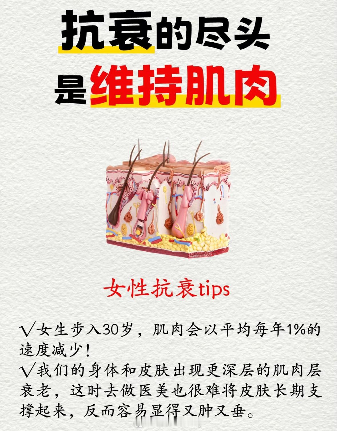 抗衰的尽头是维持肌肉训练 