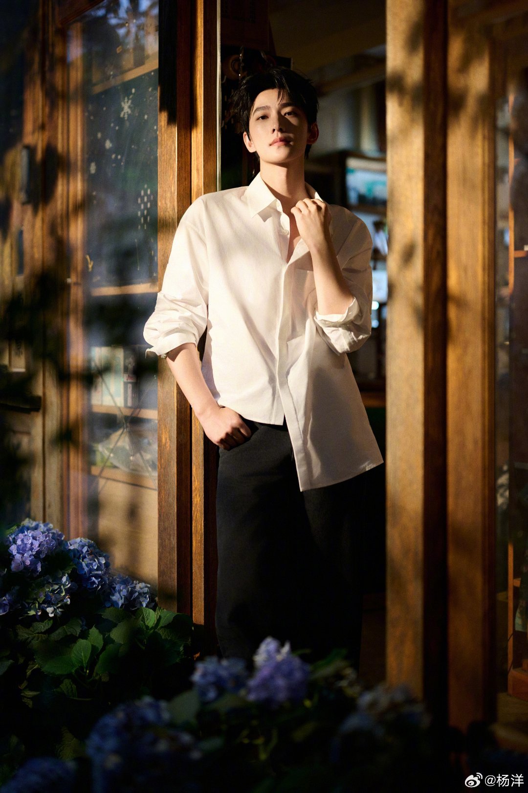 杨洋9号限定男友杨洋展昭 yy杨洋0909生日快乐 你是夏日繁华的樟树，在我心里