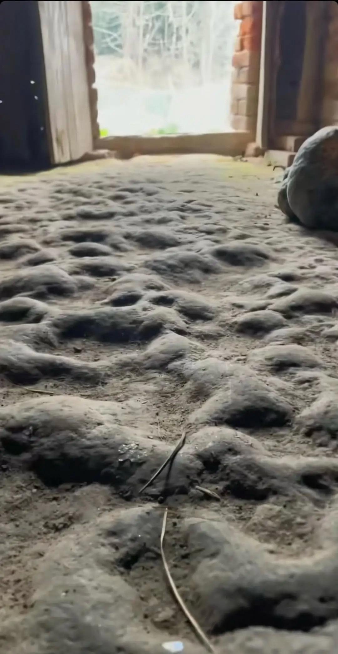 有没有生活过这样房子的人