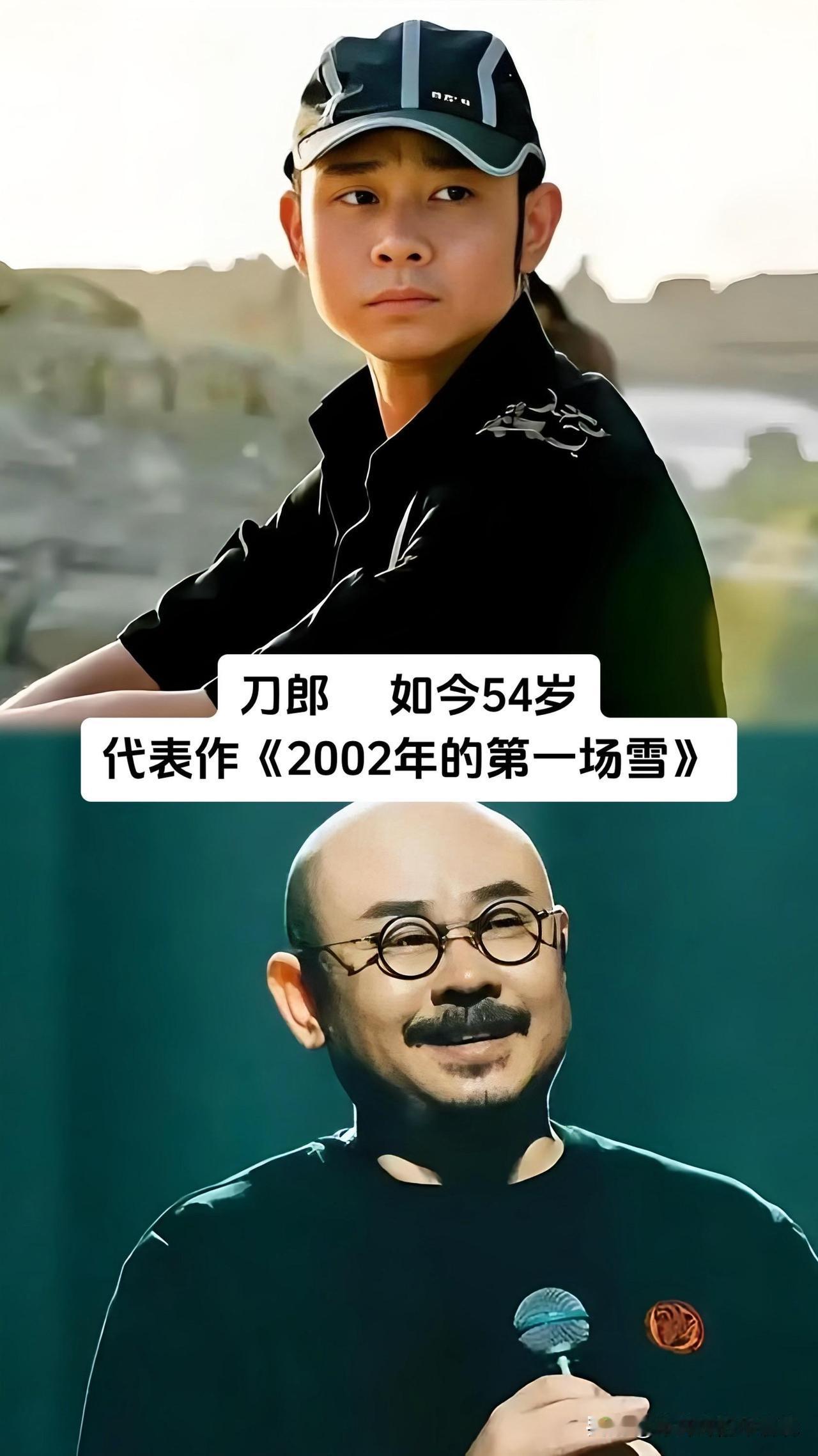 谁懂啊！刀郎、刘欢、蔡琴、齐豫、孙悦、光良、阿杜、孙浩、郑绪岚，这些陪我们走过青