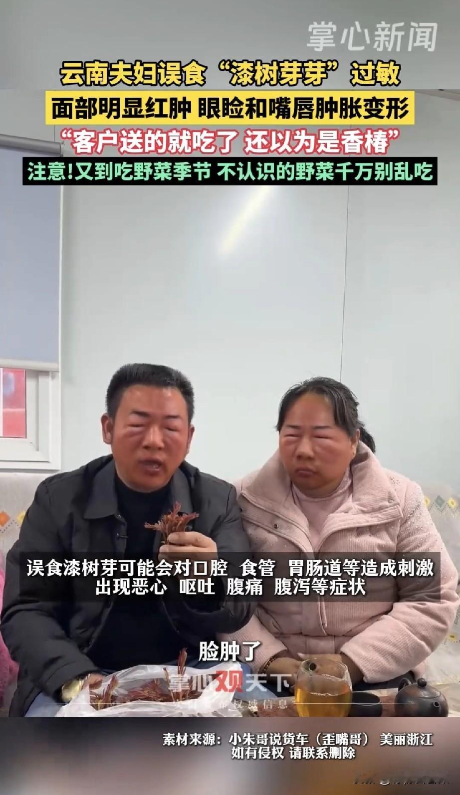 云南夫妇把“毒芽”当香椿吃，吃完脸肿成球！春天这野菜千万别碰！
云南夫妇把客户送