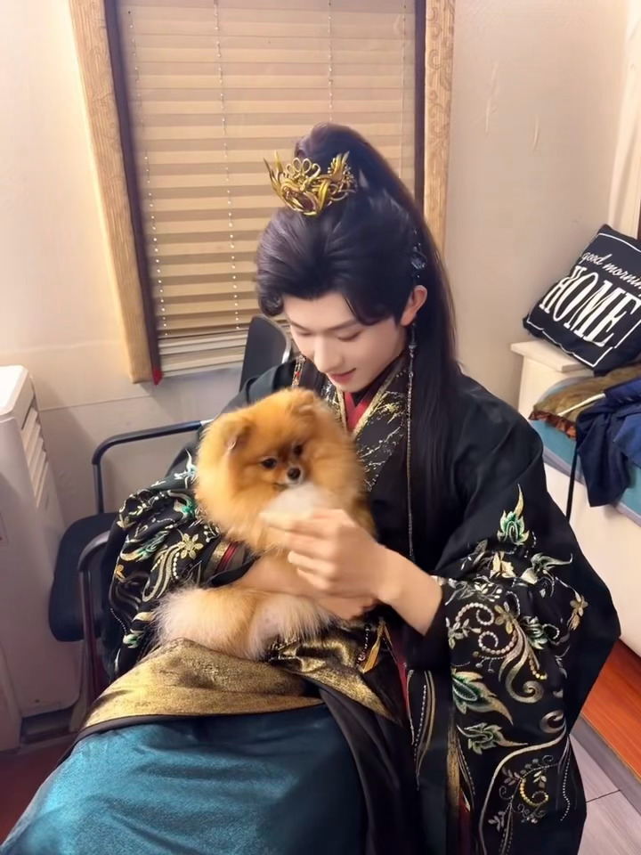 陈添祥  安利陈添祥 可爱狗狗🐶和添添