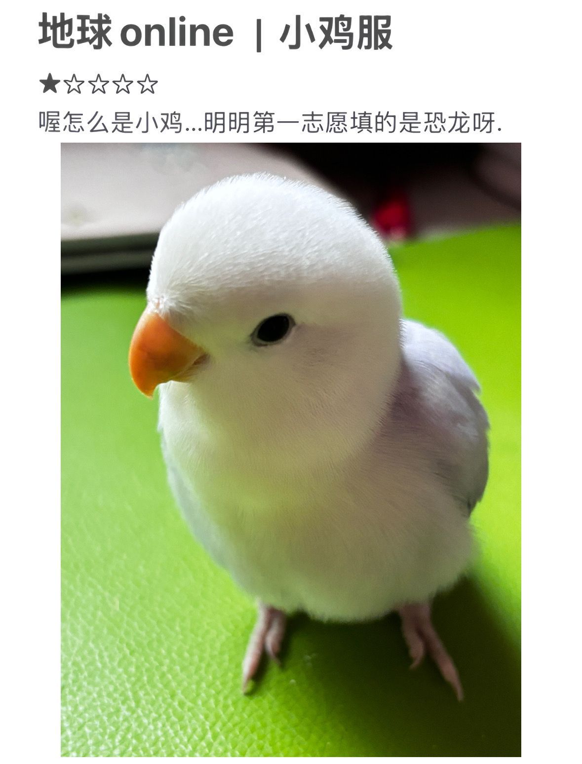 我们德儿 实际上咬合力堪比恐龙了宝宝 