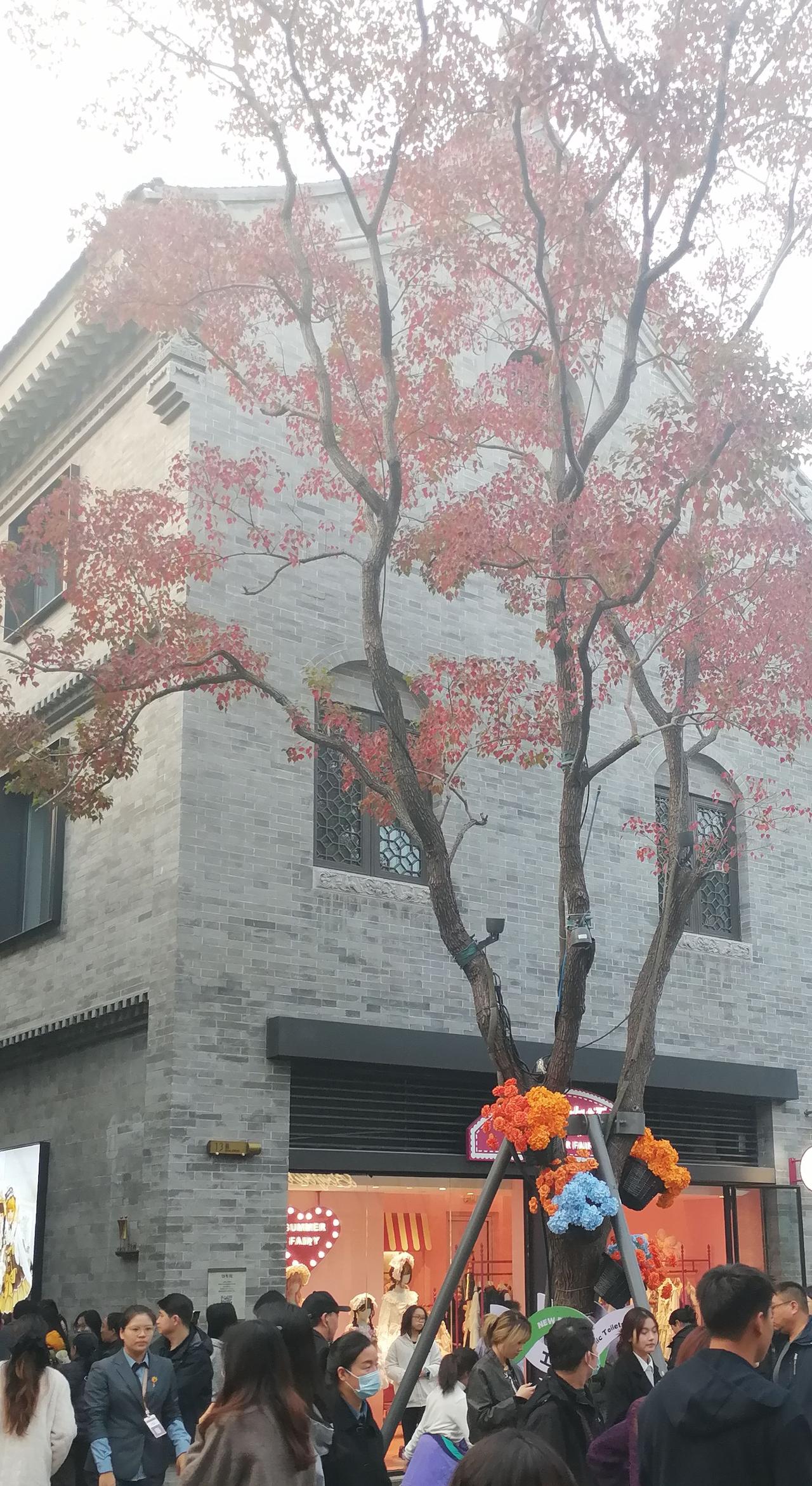 纪录美好生活 旅游景点 旅游打卡 古街古巷