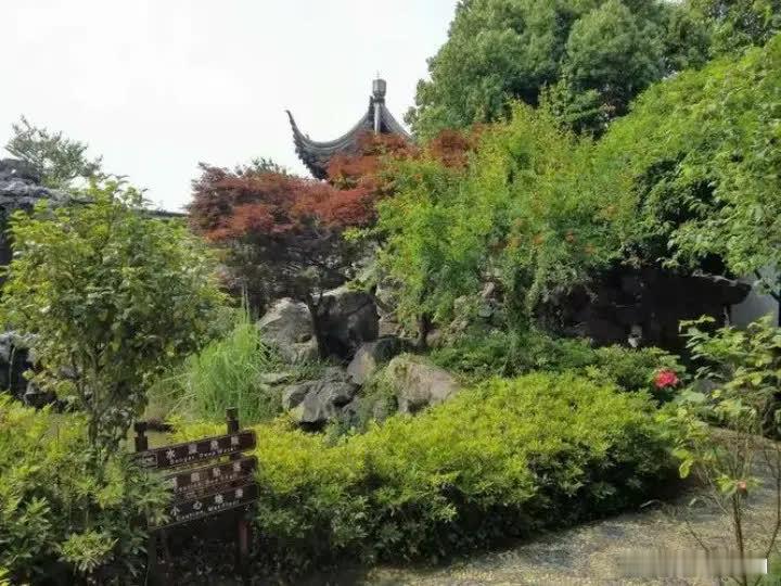 2007年，孙俪成名后，偶遇了抛弃她们母女多年的父亲，正在路上摆摊，曾经孙俪非常